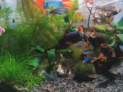 -华声天桥民俗文化园