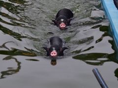 -湖南湘都生态农业园