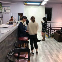 点击看大图 -T8 SALON