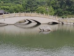 -马峦山郊野公园