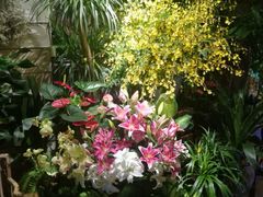 -春暖花开(西溪店)