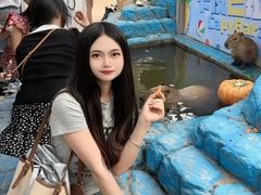 -灵玲国际马戏城