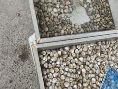 -团泊镇示范集贸市场