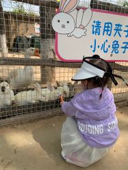 -上美四季动物农场