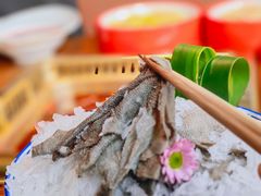 -九鼎轩脆毛肚火锅(三钢里店)