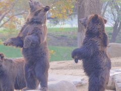 -北京野生动物园