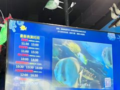 -合肥海洋世界