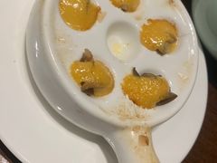 -黑松白鹿(新活馆店)