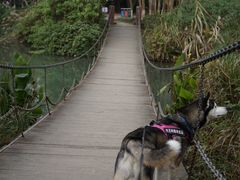 -桤木河湿地公园