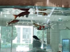 -诺贝尔一诺口腔医院(雁塔院区)