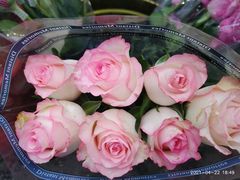 -循礼门鲜花花市(武汉循礼门店)