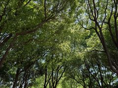 -龙盛活力小镇