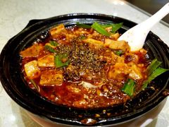 -陈麻婆豆腐总店
