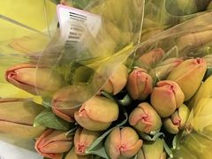 -山姆会员商店(杨桥西路店)