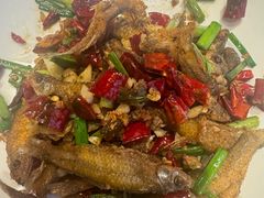 -印象鲵宴·张家界地标美食名片(溪布街店)