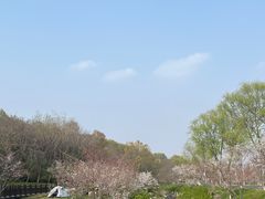-羊山湖公园