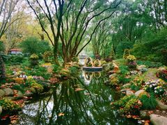 -上海共青森林公园