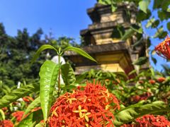 -曼听御花园