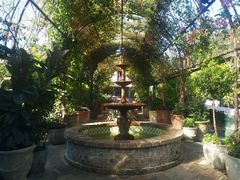 -The Grounds of Alexandria
