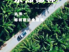 -东郊椰林