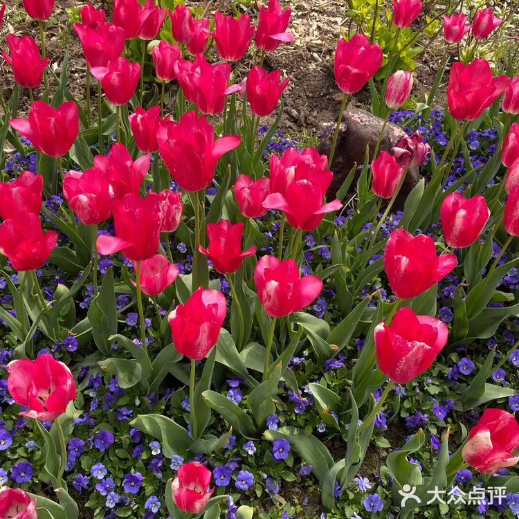 观赏着美丽的风景，春回大地，万物复苏，吸着清新的空气