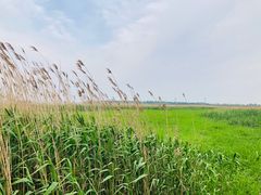 -上海吴淞炮台湾国家湿地公园