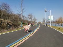 -羊山湖公园