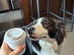 -Onirii Coffee(长乐路店)