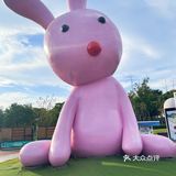 🌸上海奇迹花园🌸仙女出片地