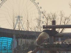 -大连森林动物园