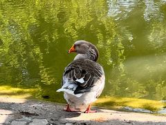 -金庭庄园酒店-停车场