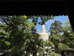 -大觉寺-停车场