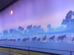 -罗红摄影艺术馆