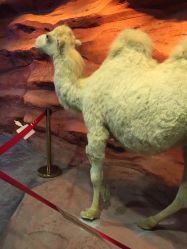 -酷嗒动物文化乐园(cutezoo西溪乐天城店)