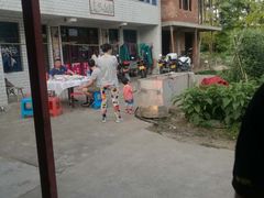 -小六农家乐(崇明西沙湿地店)