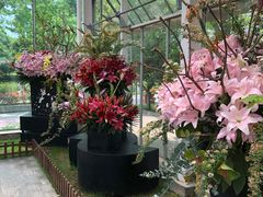 -上海鲜花港