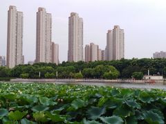 -后襄河公园