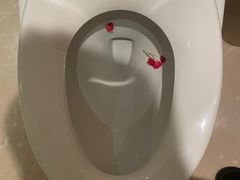 -电谷雅阁国际大酒店