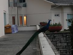 -杭州千岛湖开元度假村