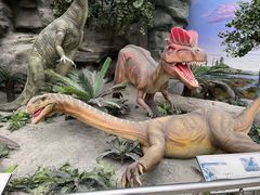 -国家自然博物馆