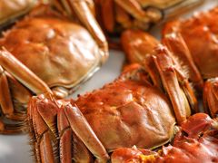 清蒸大闸蟹-炳胜品味(海印总店)