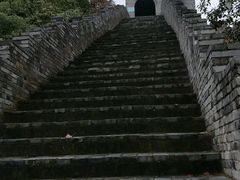 -黄贤森林公园