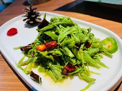 清爽云南沙松针-雀舞云南菜(乐客城店)