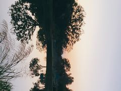 -福田红树林生态公园