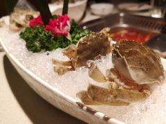 旭伟蟹肉墨鱼滑-海底捞火锅鲜切牛肉主题店(长寿路店)