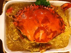 -茉莉.Red Crab
