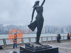 -星光大道