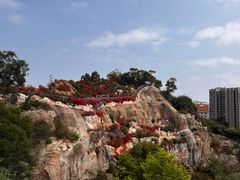 -仙岳公园