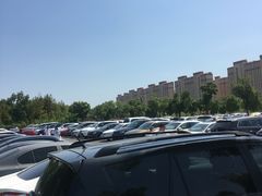 -野生动物园-停车场