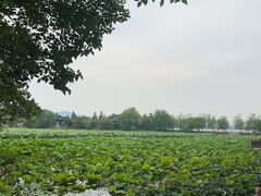 -云龙湖旅游景区